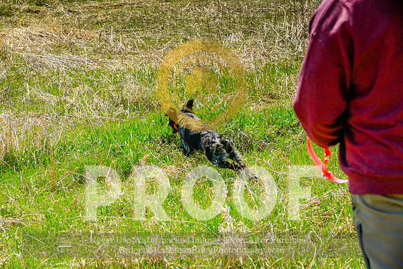 2021-KathleenRileyPhotography-2863
