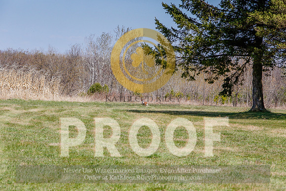 2021-KathleenRileyPhotography-5460