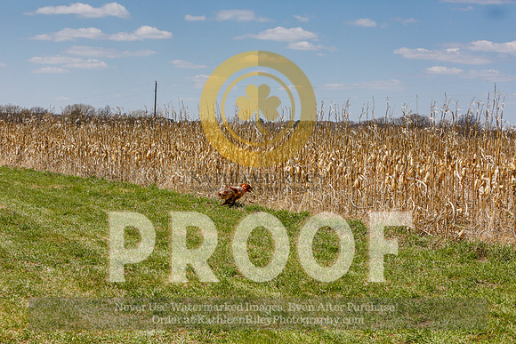2021-KathleenRileyPhotography-5485