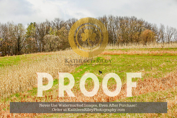 2021-KathleenRileyPhotography-3906