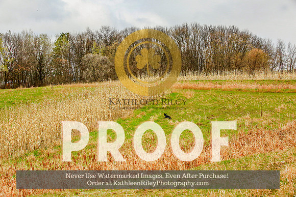 2021-KathleenRileyPhotography-3907