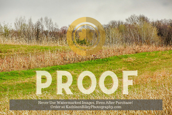 2021-KathleenRileyPhotography-3921