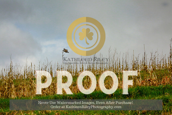 2021-KathleenRileyPhotography-3935