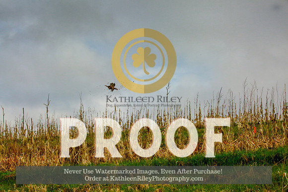 2021-KathleenRileyPhotography-3936