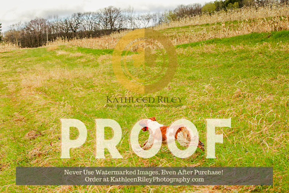 2021-KathleenRileyPhotography-3952