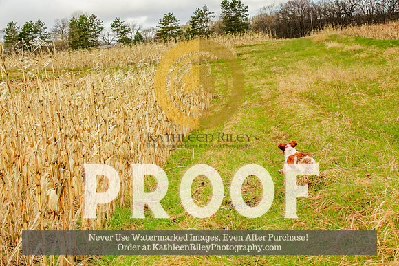 2021-KathleenRileyPhotography-3954