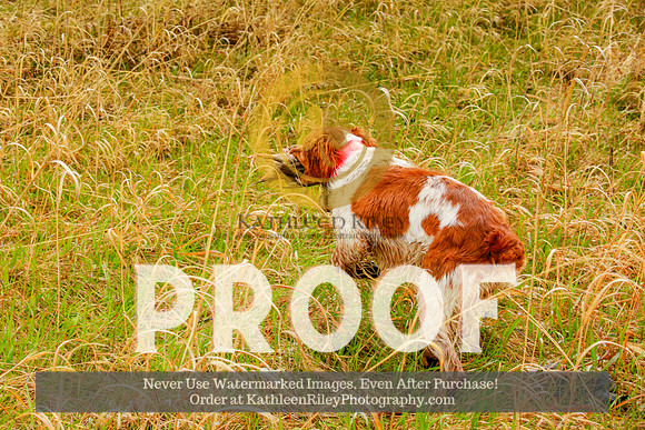2021-KathleenRileyPhotography-3979