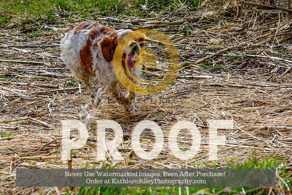 2021-KathleenRileyPhotography-4155