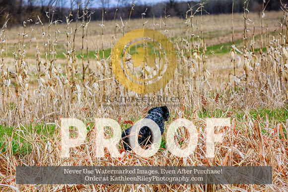 2021-KathleenRileyPhotography-4162