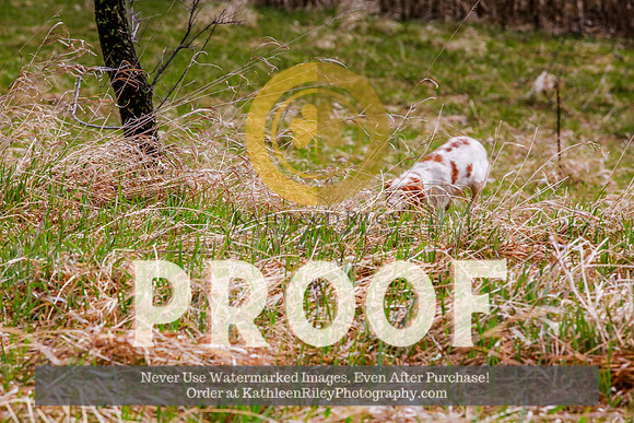 2021-KathleenRileyPhotography-4239