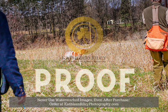 2021-KathleenRileyPhotography-4276