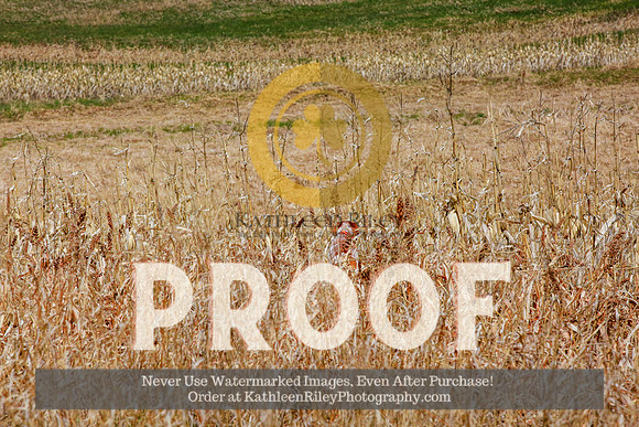 2021-KathleenRileyPhotography-4282