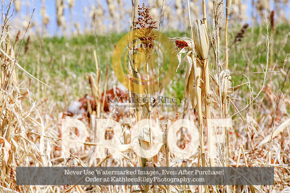 2021-KathleenRileyPhotography-4329