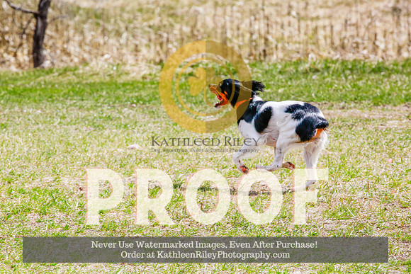 2021-KathleenRileyPhotography-4373