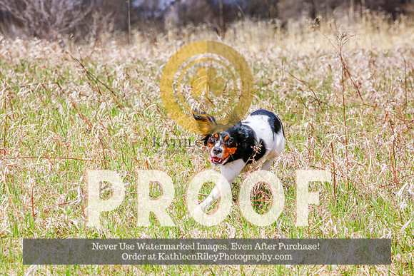 2021-KathleenRileyPhotography-4378