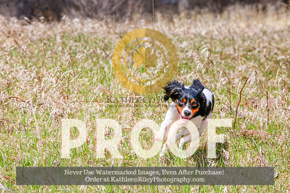 2021-KathleenRileyPhotography-4379
