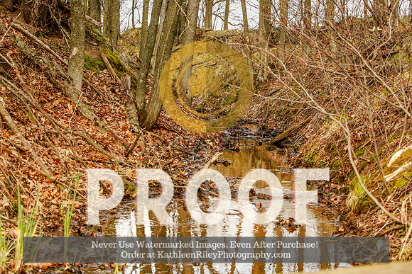 2021-KathleenRileyPhotography-4411