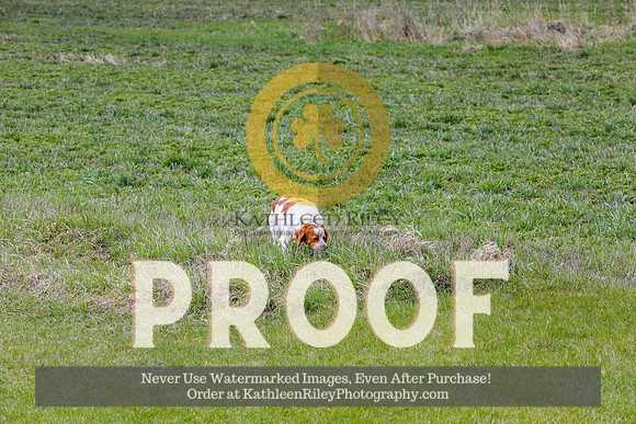 2021-KathleenRileyPhotography-6798