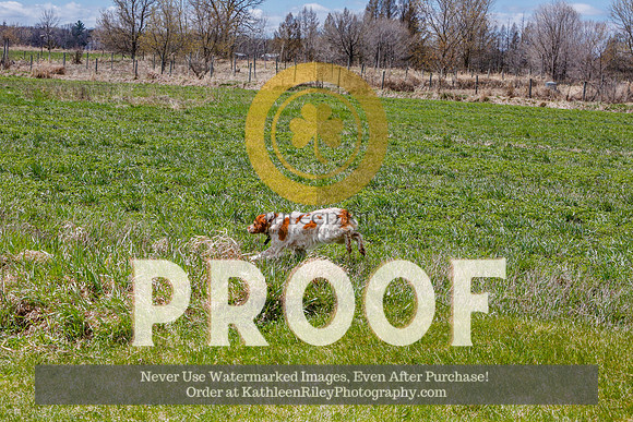 2021-KathleenRileyPhotography-6865
