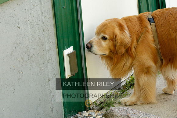 2022-KathleenRileyPhotography-0253