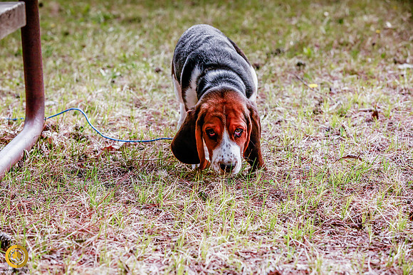 2021-KathleenRileyPhotography-5053