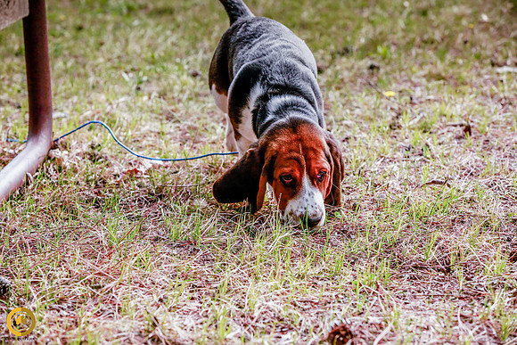 2021-KathleenRileyPhotography-5054