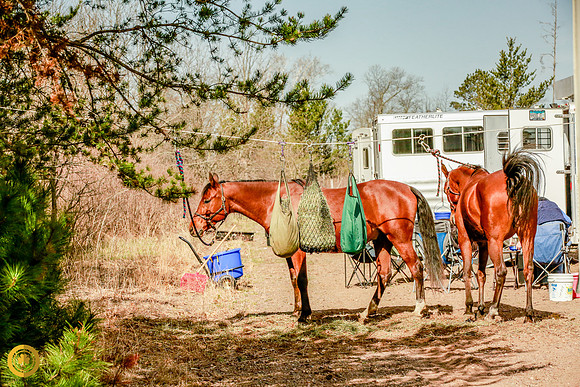 2021-KathleenRileyPhotography-5071