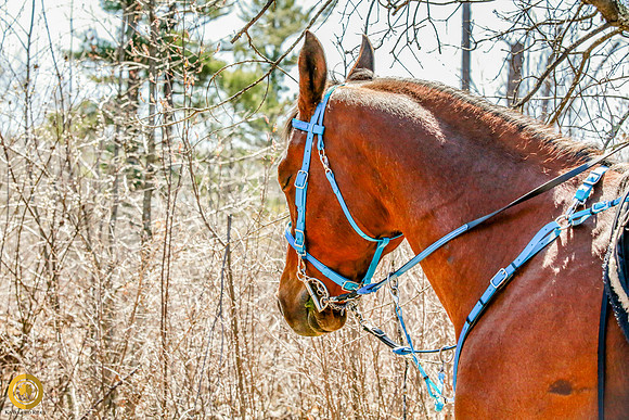 2021-KathleenRileyPhotography-5228