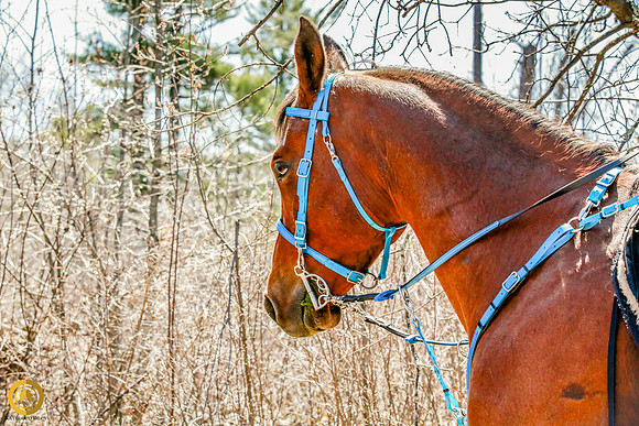 2021-KathleenRileyPhotography-5229