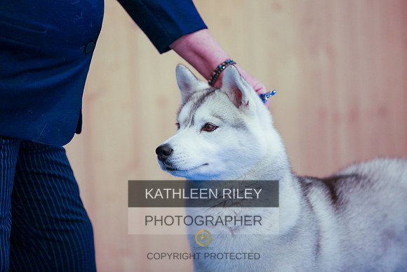 2022-KathleenRileyPhotography-6274
