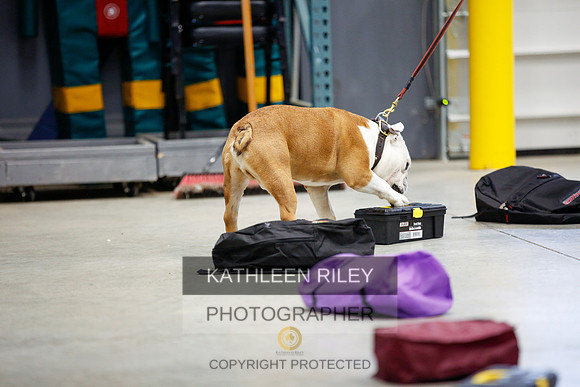 2022-KathleenRileyPhotography-7341