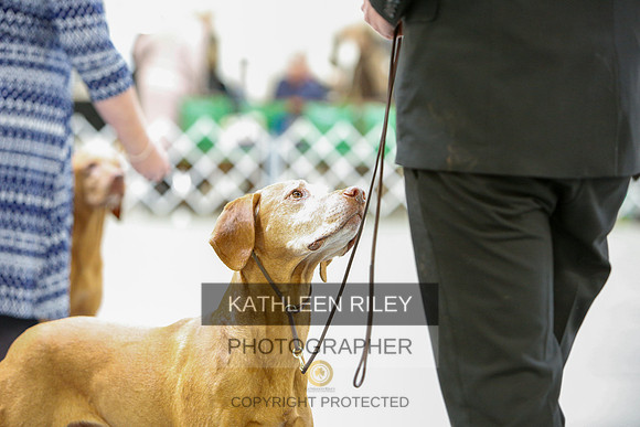 2022-KathleenRileyPhotography-3121