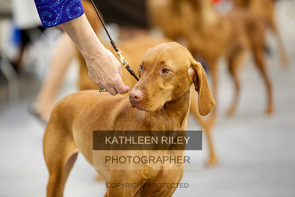 2022-KathleenRileyPhotography-2329