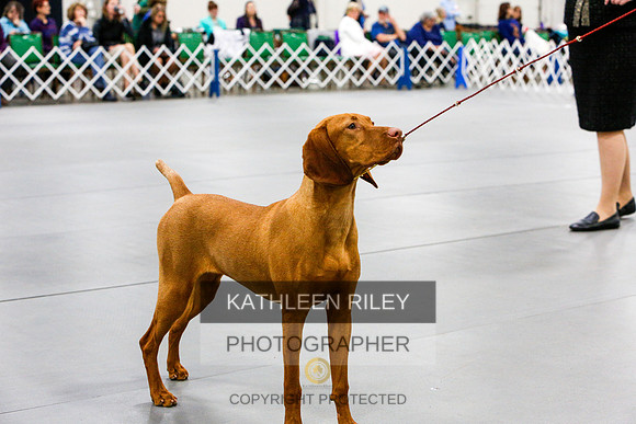 2022-KathleenRileyPhotography-6896