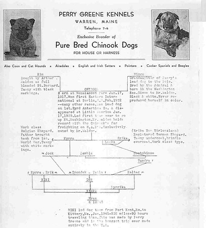 fram-s-pedigree_orig