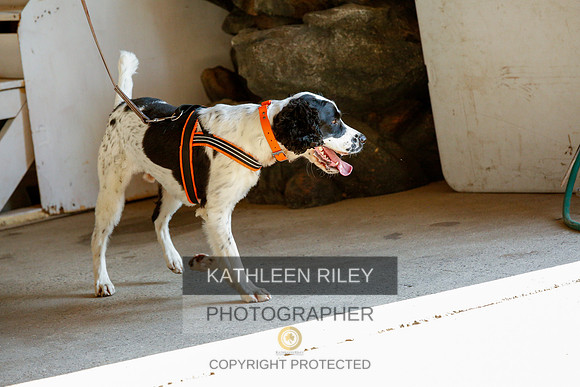 2022-KathleenRileyPhotography-9256