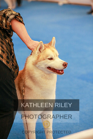 2022-KathleenRileyPhotography-5706