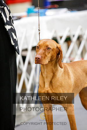 2022-KathleenRileyPhotography-2214