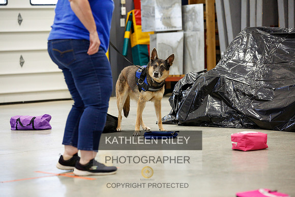 2022-KathleenRileyPhotography-7197