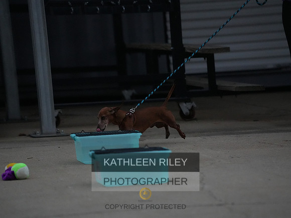 2022-KathleenRileyPhotography113