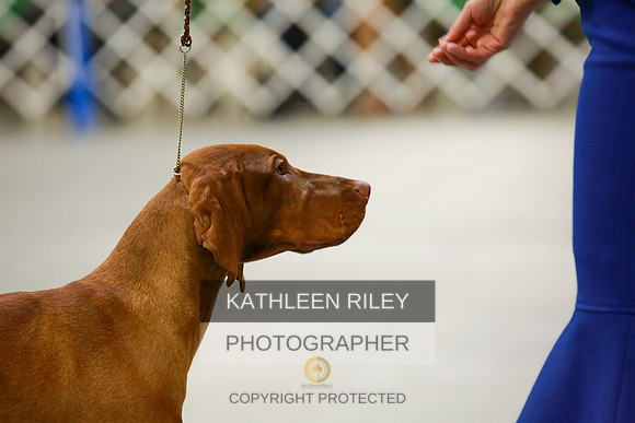 2022-KathleenRileyPhotography-8559