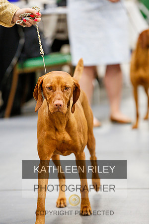2022-KathleenRileyPhotography-2215