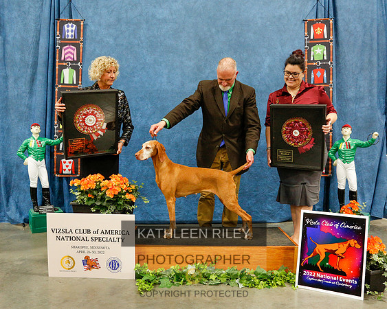 2022-KathleenRileyPhotography-7414