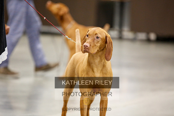 2022-KathleenRileyPhotography-2355