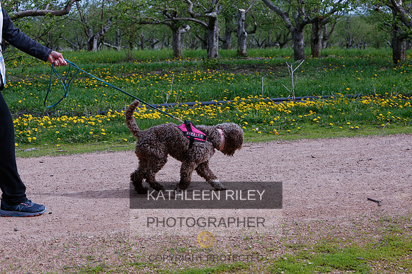 2022-KathleenRileyPhotography-8447