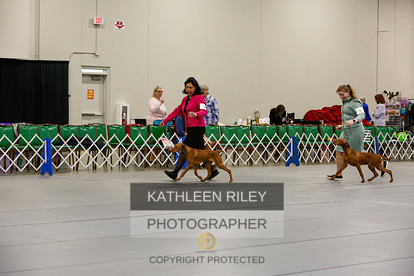 2022-KathleenRileyPhotography-5696