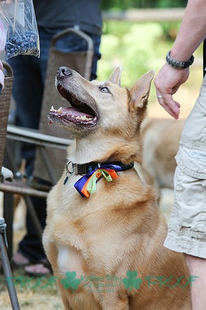 Wally the Chinook