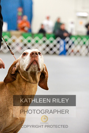 2022-KathleenRileyPhotography-8032
