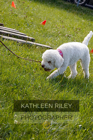 2022-KathleenRileyPhotography-9737