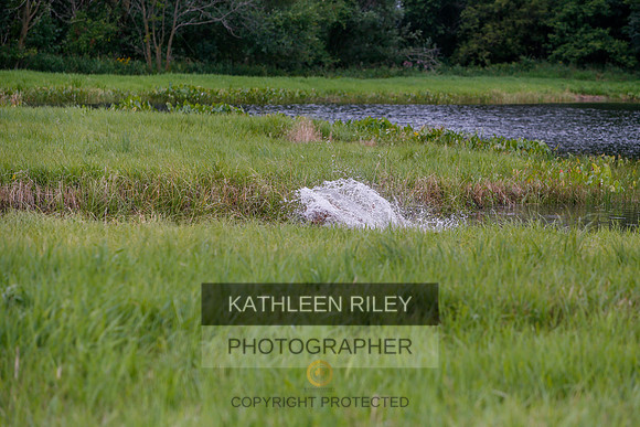 2022-KathleenRileyPhotography-3348